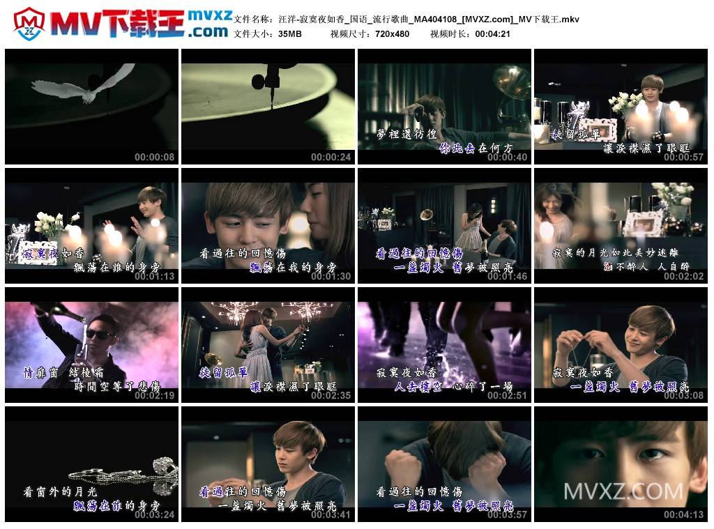 汪洋-寂寞夜如香_国语_流行歌曲_MA404108